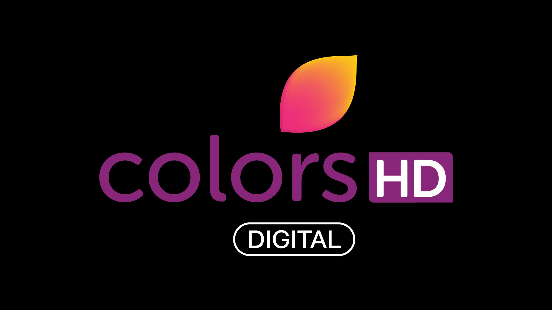 Colors