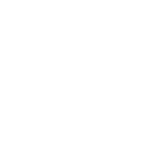 ge Fast